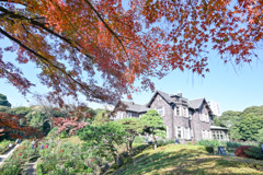 都内紅葉巡り【旧古河庭園：洋館と紅葉】②20251128