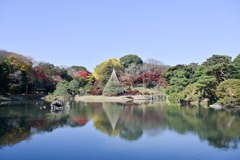 都内紅葉巡り【六義園：大泉水】20251128