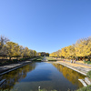 昭和記念公園【カナールの様子】①20241119