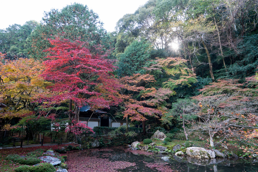 京都の紅葉【南禅寺：南禅院】20201126