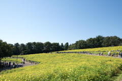 昭和記念公園【花の丘の眺め】20221002