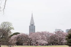 【新宿御苑の眺め】20160402