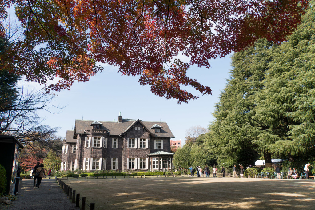 【旧古河庭園の紅葉】①20181201