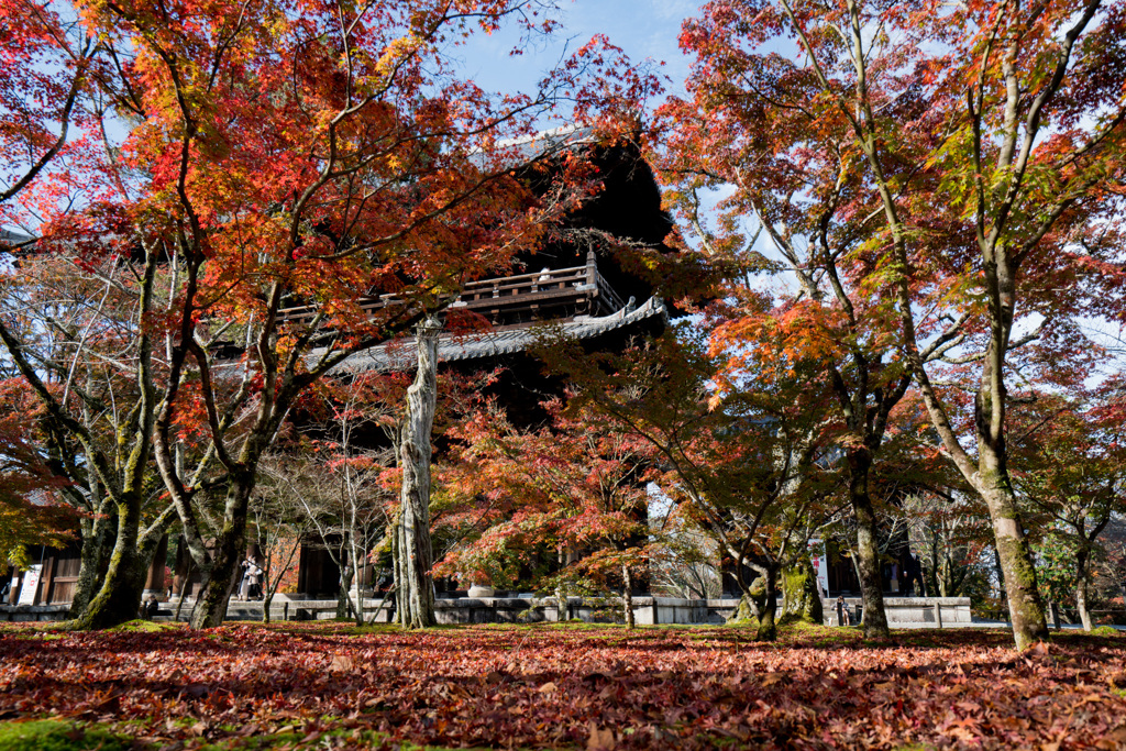 京都の紅葉【南禅寺：三門付近】②20201126