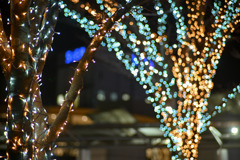 スキップ広場【Carl_Zeiss_85mm_f1.4】①20241217
