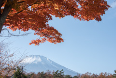 山中湖【富士山と紅葉】①20191117