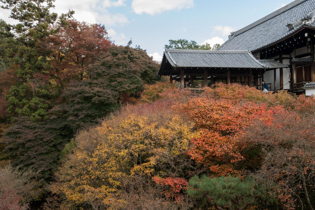 東福寺【開山堂付近の紅葉】20191203