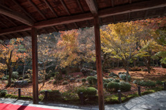 圓光寺【額縁庭園「十牛之庭」の紅葉】①20191203