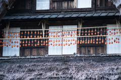 【生田緑地：干し柿】①20141130