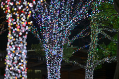 都内夜景巡り【六本木ヒルズ：イルミネーション】③20251216