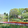 昭和記念公園【渓流広場の眺め(遠景)】④20250416
