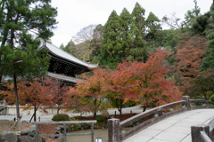 京都の紅葉【知恩院】⑥20201126