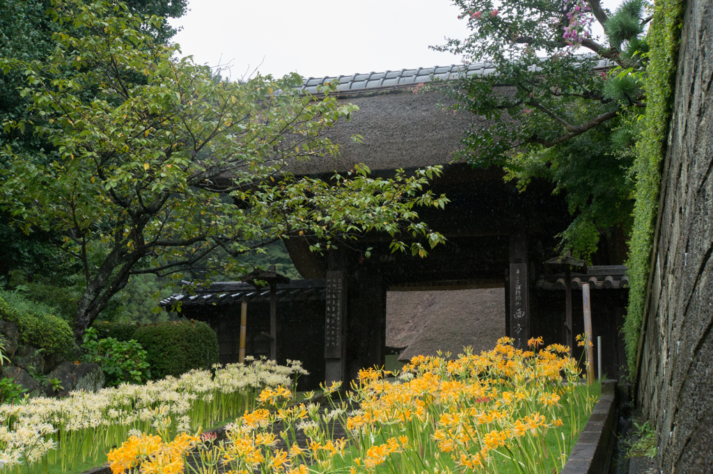 【西方寺(山門)】20160922