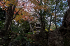 旧古河庭園【日本風の庭園】⑤20171126