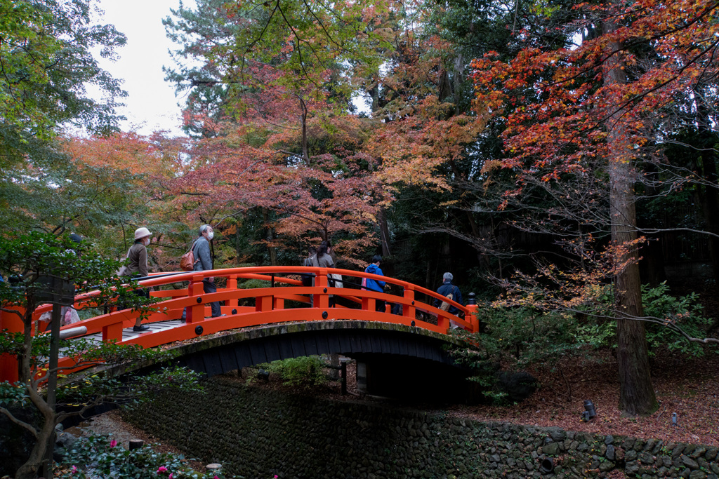 京都紅葉狩り【北野天満宮：紅葉】①20201122