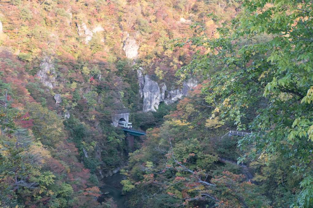 東北紅葉狩り【鳴子峡：紅葉と電車】20181022