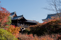 京都紅葉狩り【東福寺：紅葉】③20201121