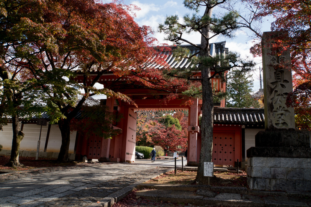 京都の紅葉【真正極楽寺 (真如堂)】①20201126