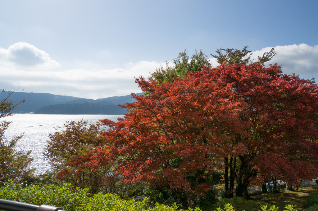 【芦ノ湖の紅葉も進んでました】③20161113