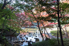 小石川後楽園【大堰川近辺の紅葉】20181201