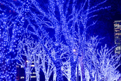 都内夜景巡り【青の洞窟：イルミネーション】③20251216