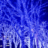 都内夜景巡り【青の洞窟：イルミネーション】③20251216