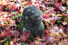 圓光寺【可愛いお地蔵様】20191203