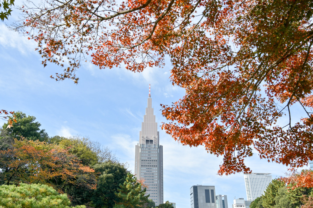新宿御苑【日本庭園の紅葉】①20251124