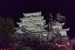 【福山城の桜】③20170410