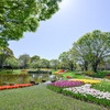 昭和記念公園【渓流広場の眺め(遠景)】②20250416