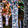 六本木ヒルズ【135mm】③20241223