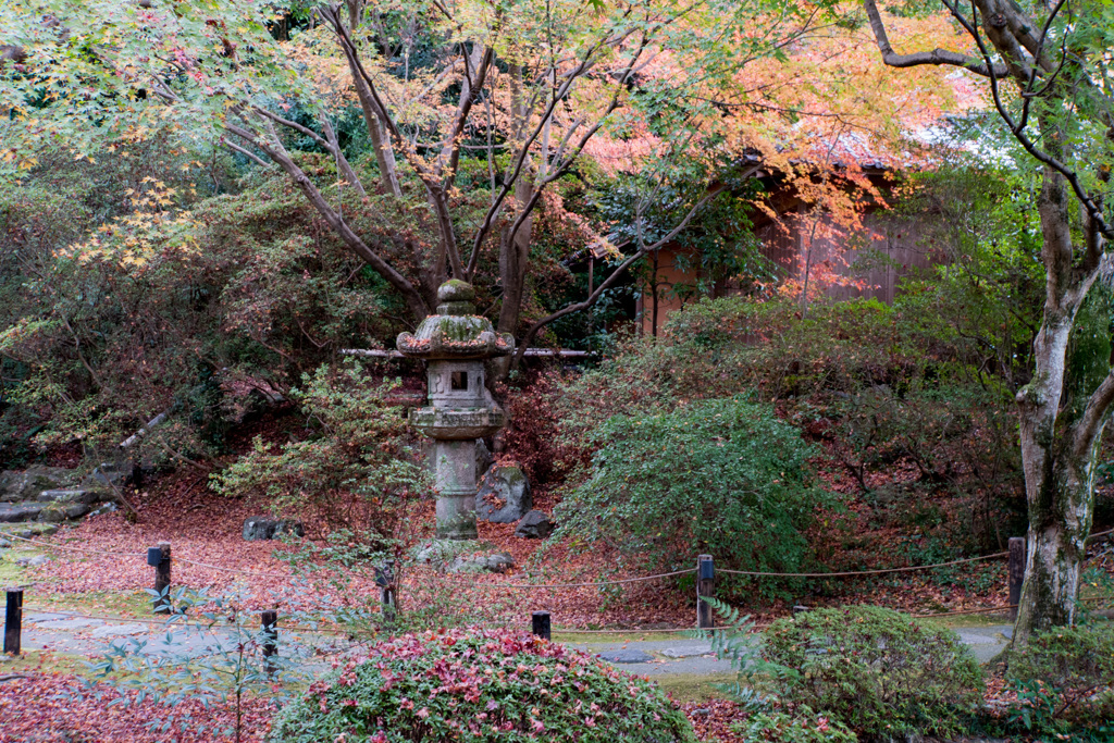 京都の紅葉【青蓮院門跡】④20201126