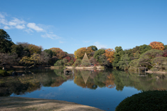 【今の時季の六義園】20161203