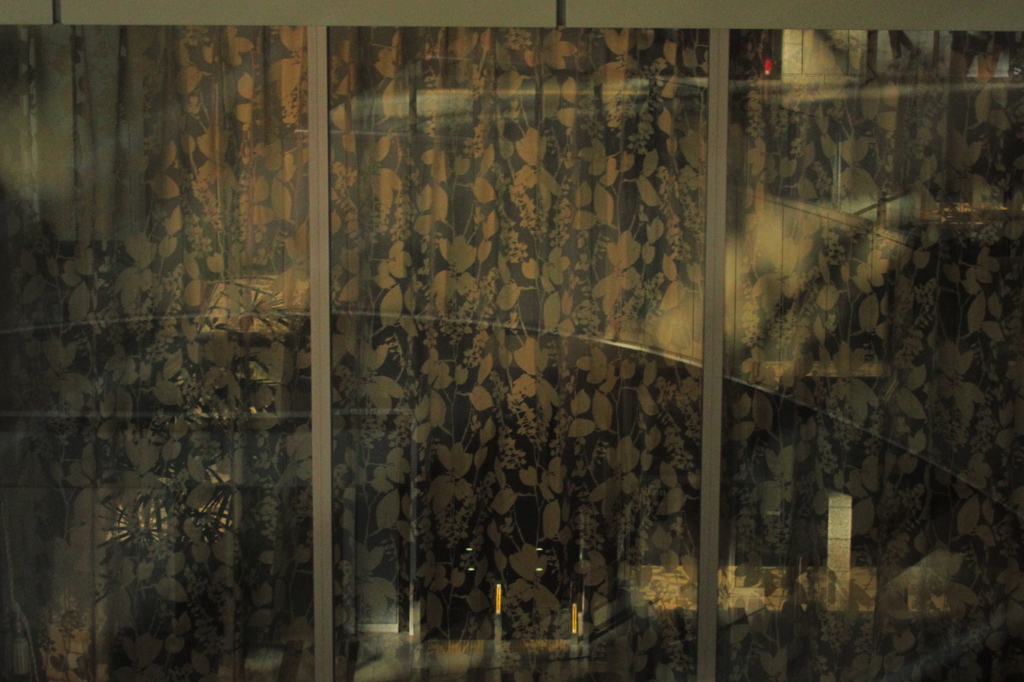 フィルムがあまったので_11