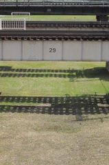 29