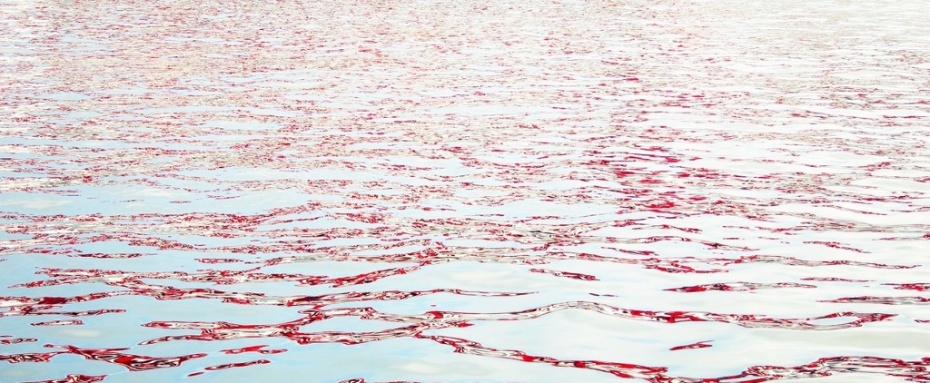 the red sea