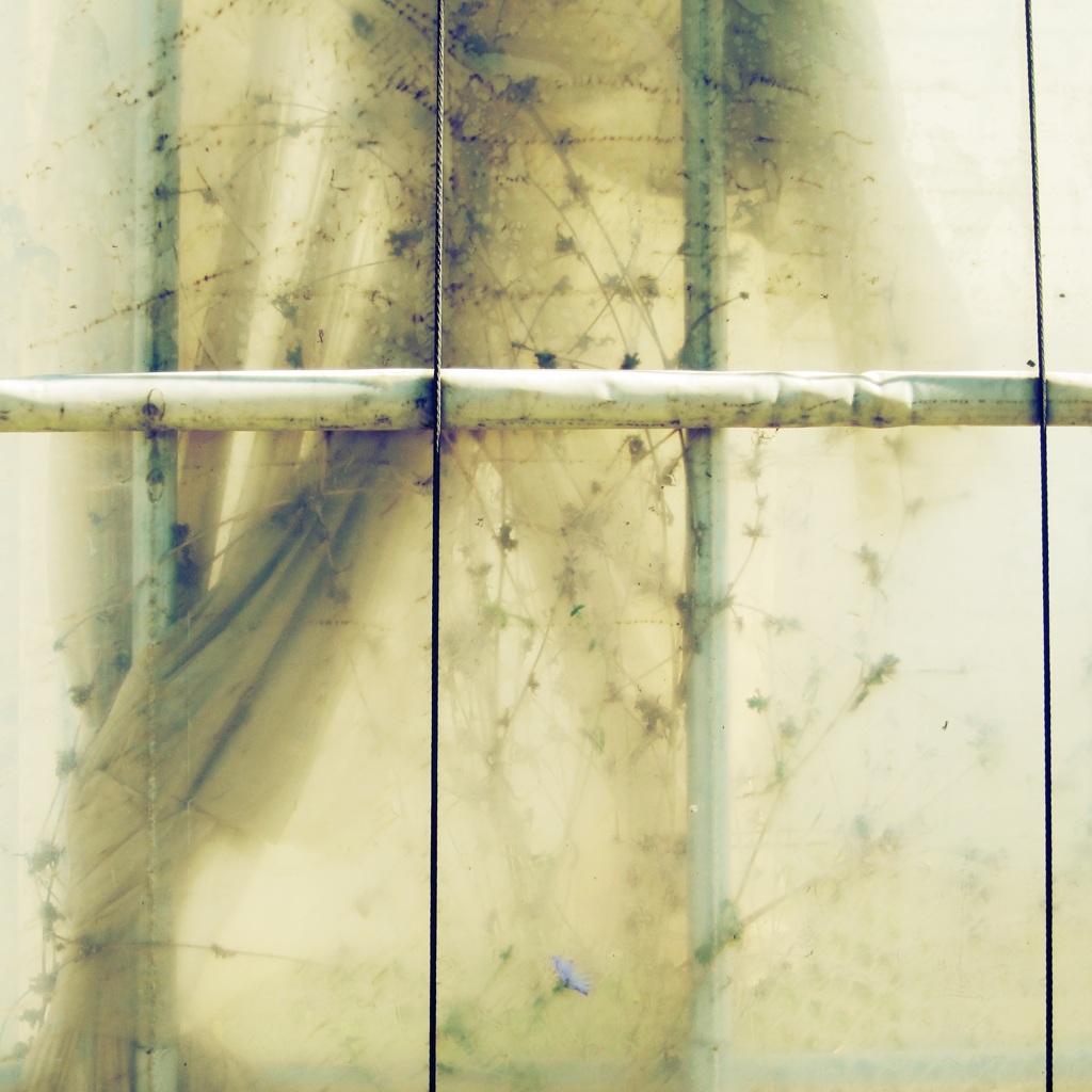 ヴィニールハウス・マニアックス2