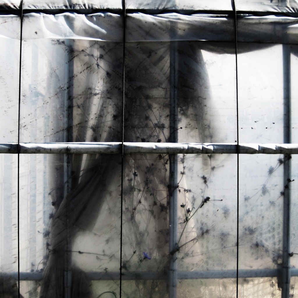 ヴィニールハウス・マニアックス3