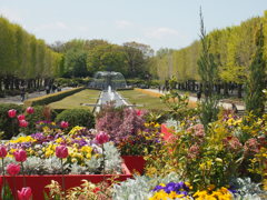 昭和記念公園