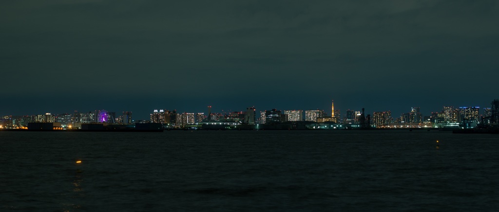 東京一望