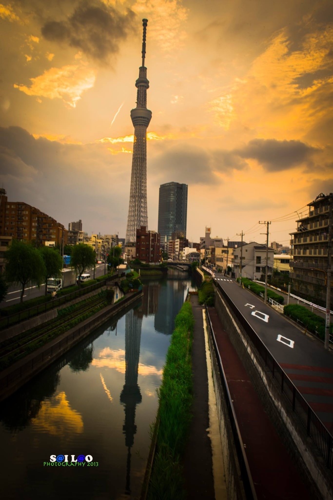 Golden cloud with Tokyo Sky Tree