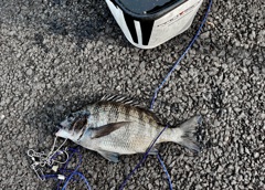 釣り好き専用です