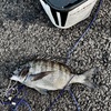 釣り好き専用です