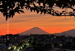 私的写真句