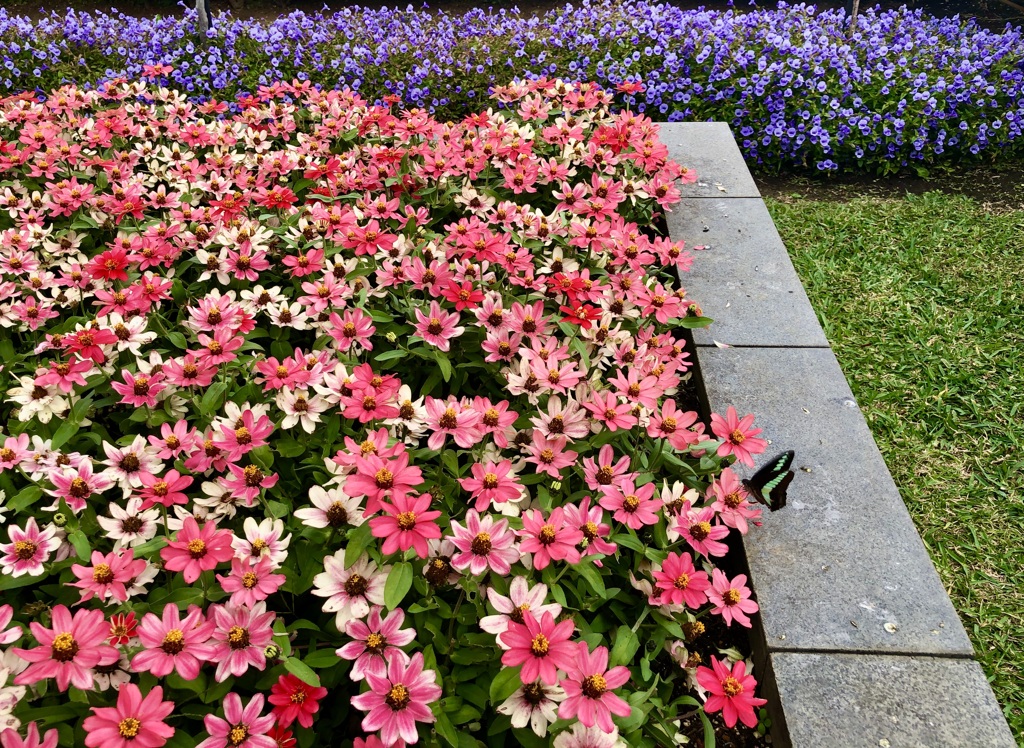 まだ居る！・5 / iphoneスケッチ57