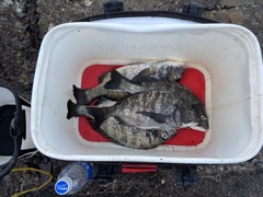 釣り好き専用！