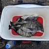 釣り好き専用！
