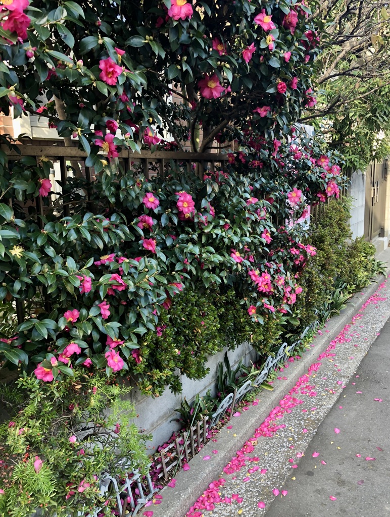 ハマの風情 / iphoneスケッチ61