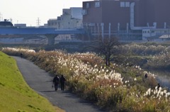 横浜/鶴見川情景３題　②