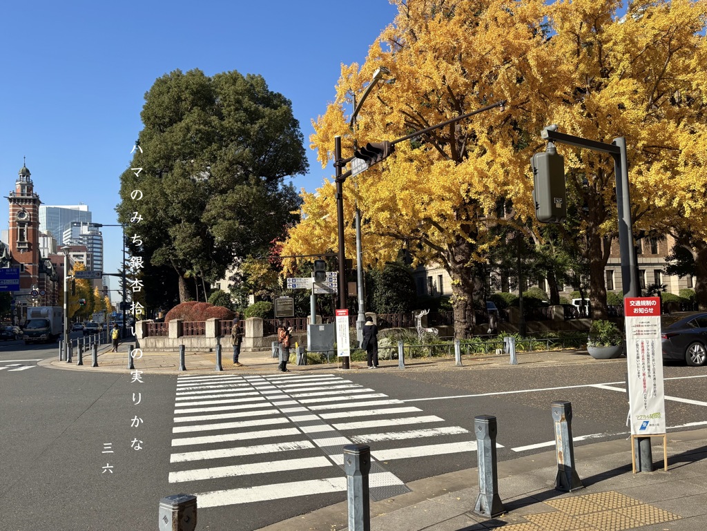 私的写真句 / iphoneスケッチ